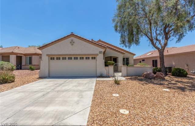 2871 Goldcreek Street photos photos