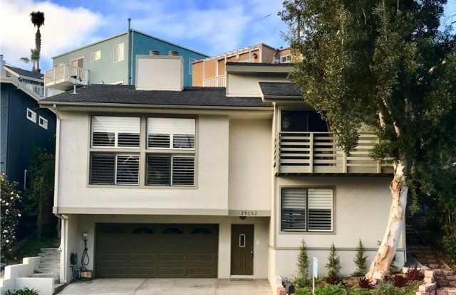 25132 Manzanita Drive - 25132 Manzanita Drive, Dana Point, CA 92629