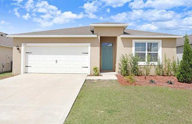 1125 TORRENTE LANE photos photos