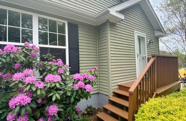West AVL - Updated 3/2 with huge basement and fenced backyard! Gallery 1