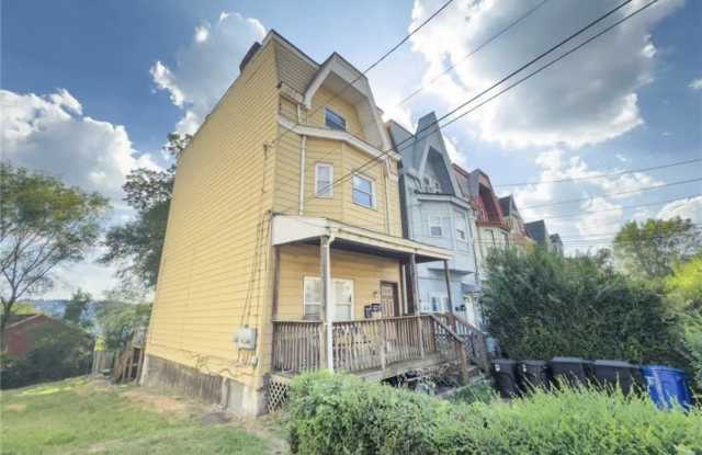 242 Ophelia Street - 242 Ophelia Street, Pittsburgh, PA 15213