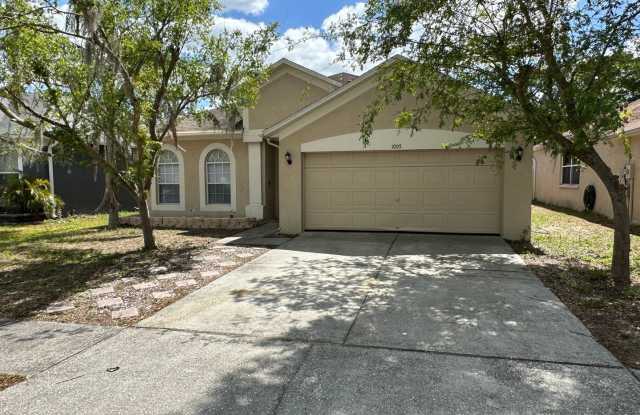 1005 Grand Canyon Dr. - 1005 Grand Canyon Drive, Valrico, FL 33594