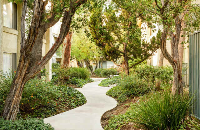 Village Pointe Gallery 3