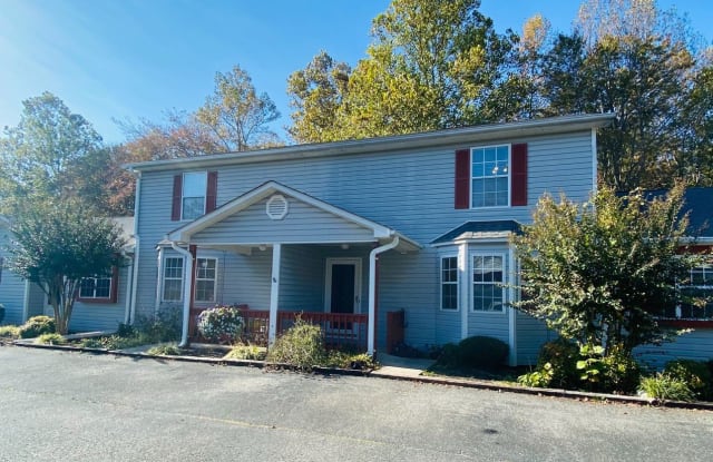 503 Goose Meadow Dr - 503 Goose Meadow Drive, Forest, VA 24551