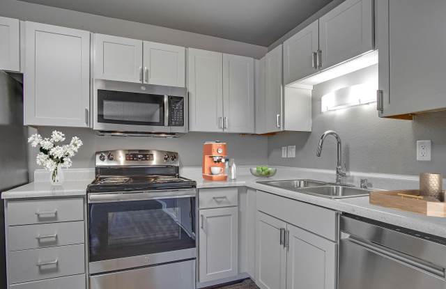 The Aurora photos photos