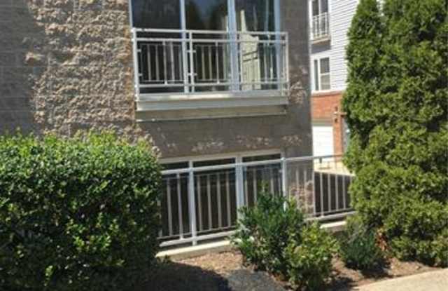 3749 Picasso Court Gallery 2