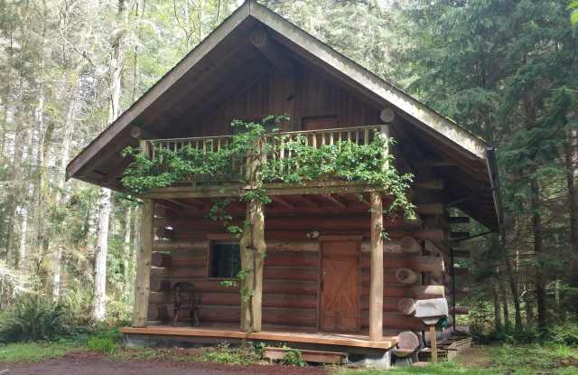 Rustic Log Home In the Woods! photos photos