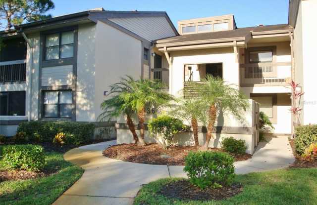 331 WOODLAKE WYNDE - 331 Woodlake Wynde, East Lake, FL 34677