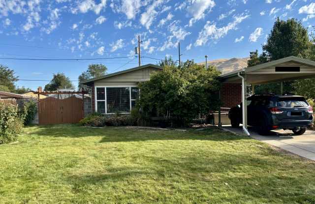 1146 Taffeta Drive photos photos