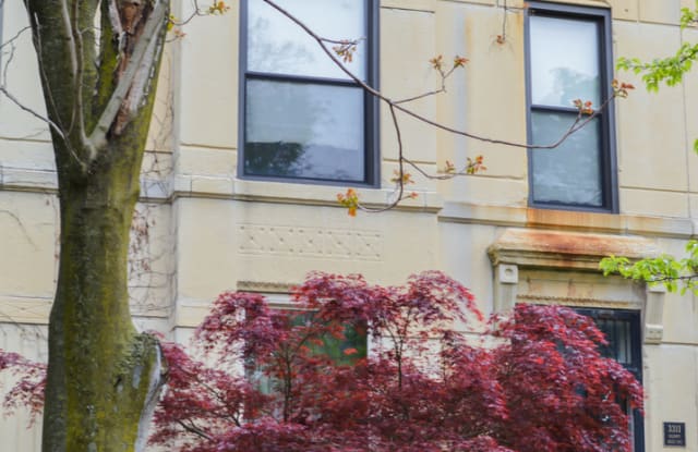 3311 South Calumet Avenue South #GARDEN - 3311 South Calumet Avenue, Chicago, IL 60616