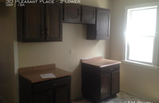 30 Pleasant Place - 30 Pleasant Place, Buffalo, NY 14208