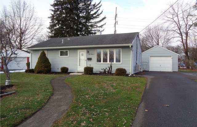 113 William Lane photos photos