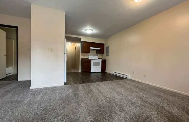 Pierceton 2 bed/2 Bath Gallery 4