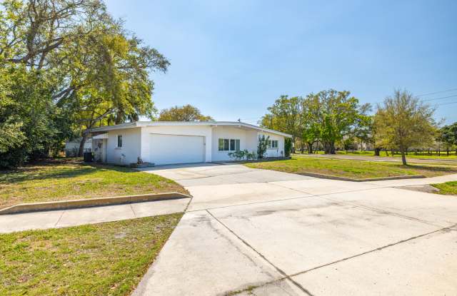 1205 Michigan Blvd - 1205 Michigan Boulevard, Dunedin, FL 34698
