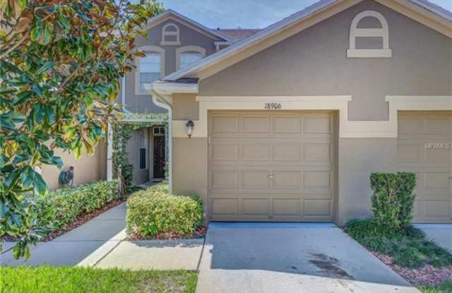 18906 Duquesne Dr - 18906 Duquesne Drive, Tampa, FL 33647
