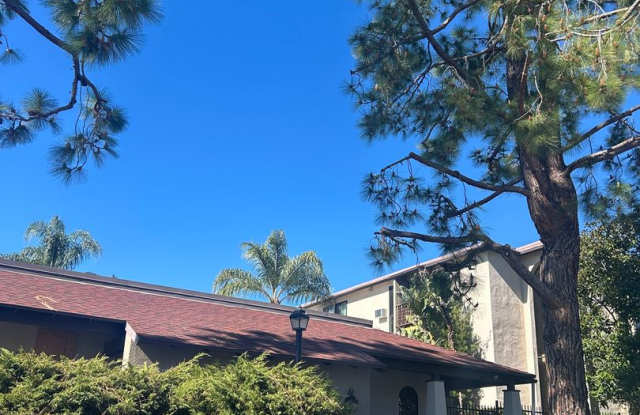 Spacious 1 bedroom Condo with Beautiful Views! Water, sewer, and trash included! Move In Ready! photos photos