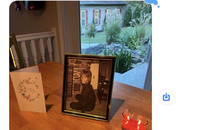 1 Oyster Bay photos photos