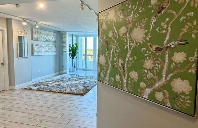 2333 Feather Sound Dr photos photos