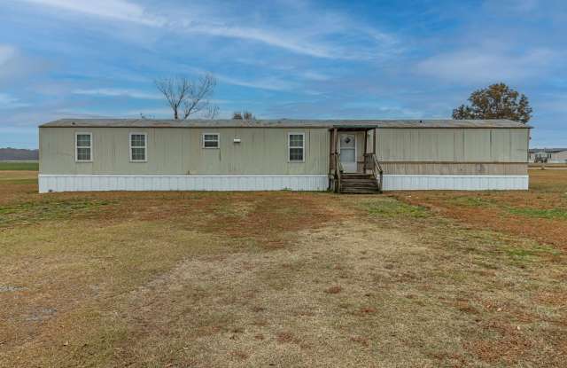 Must See! 3 BR, 2 BA in Pikeville school district ~ LAWN CARE INCLUDED! - 1556 Hinnant Road, Wayne County, NC 27863