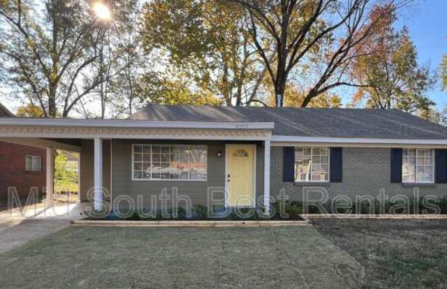 4213 Chippewa Rd - 4213 Chippewa Road, Memphis, TN 38118