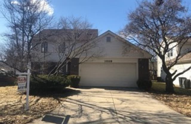 1029 Shambliss Court - 1029 Shambliss Court, Buffalo Grove, IL 60089