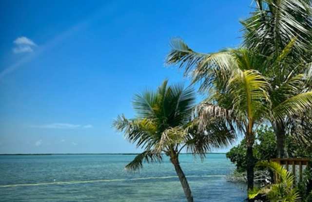 Gated Community on the water! photos photos