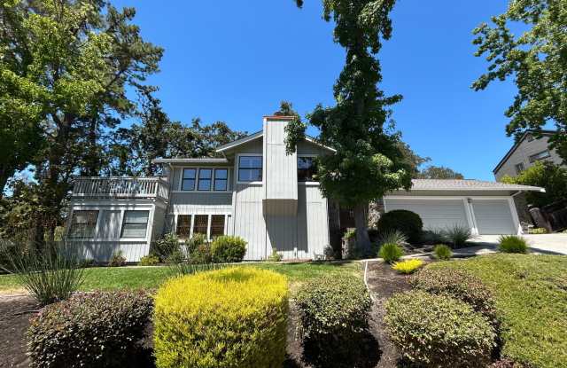 Must See Spacious Alamo 4BR Home with Remodeled Baths  Expansive Yard – Monte Vista Schools! photos photos