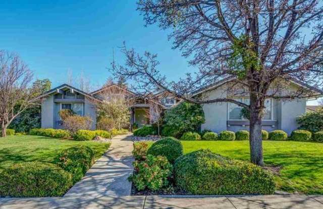 Private and Sizable 4BD/3BA Single Story Home in Livermore South, Easy Commute to 580  84! photos photos