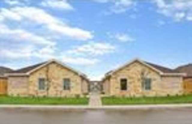 419 Carlisle Avenue - 419 Carlisle Ave, Edinburg, TX 78539