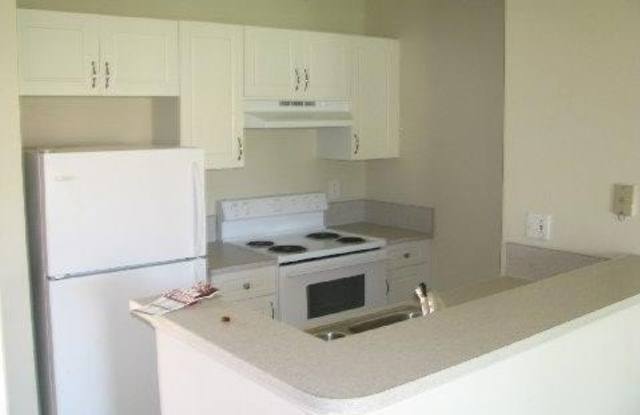 4799 Via Palm Lakes Gallery 3