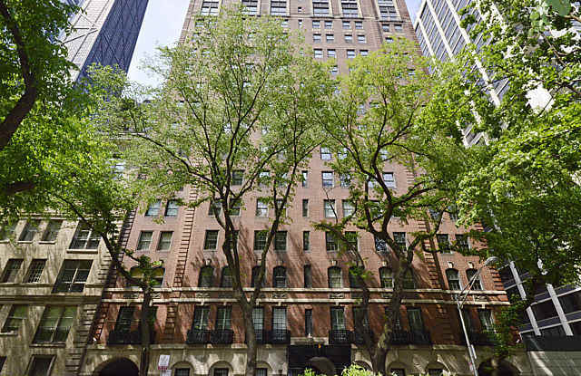 210 East Pearson Street - 210 East Pearson Street, Chicago, IL 60611