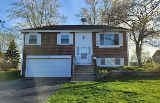 396 Woodhollow Lane - 396 Woodhollow Lane, Bartlett, IL 60103
