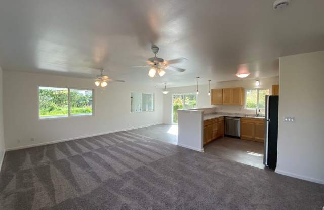 Brand New 3-Bedroom, 2-Bath Home in Ainaloa Gallery 4