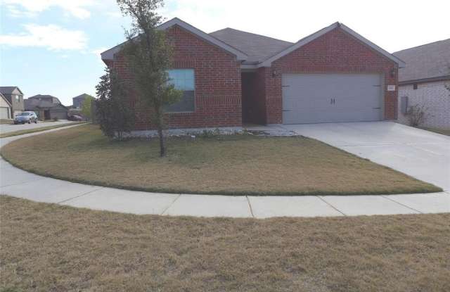 151 Bandana Circle - 151 Bandana Circle, Wise County, TX 76071