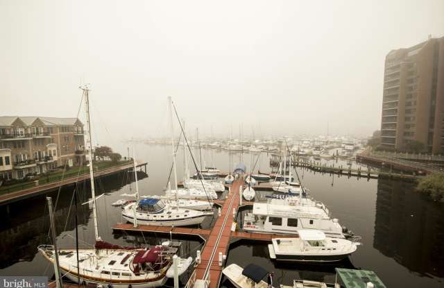 1206 ANCHORAGE VIEW COURT Gallery 2
