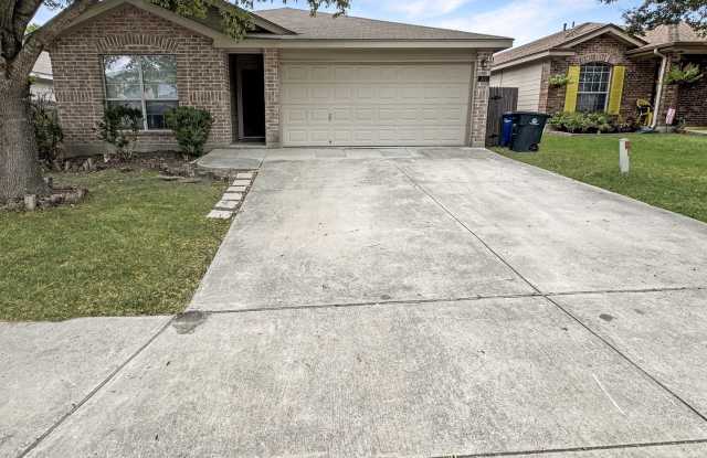 312 Hummingbird photos photos