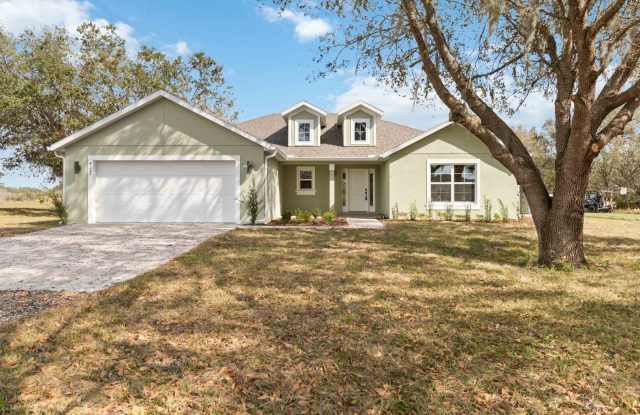 MOVE IN SPECIAL- Beautiful Brand New 4/2 Home on 3/4 Acre For Rent in St. Cloud photos photos
