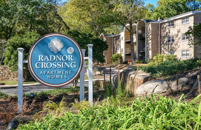 Radnor Crossing Gallery 1