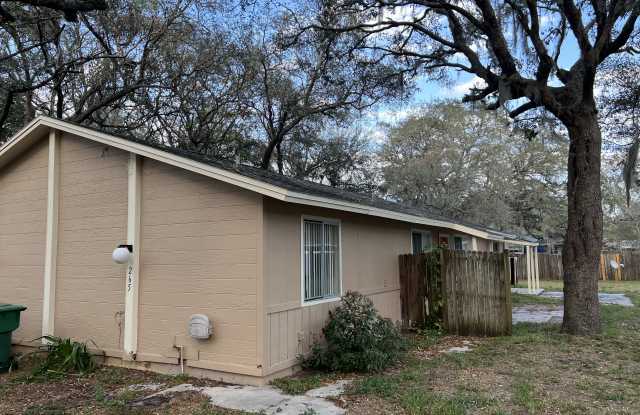 265 Ruskin Street - 265 Ruskin Street, Lake Mary, FL 32746