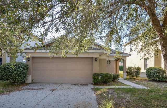 10427 AVELAR RIDGE DRIVE - 10427 Avelar Ridge Drive, Riverview, FL 33578