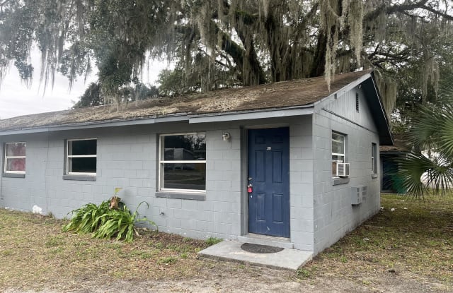 402 Terry Street - 402 Terry Street, Wildwood, FL 34785