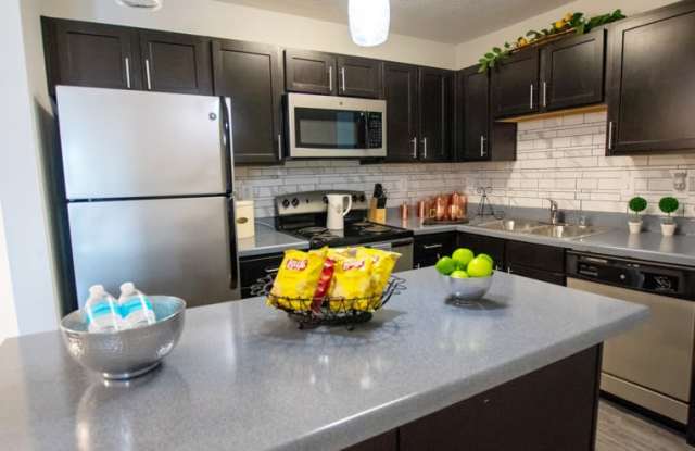 The Champion at Bluegrass Apartments photos photos The Champion at Bluegrass Apartments photos photos