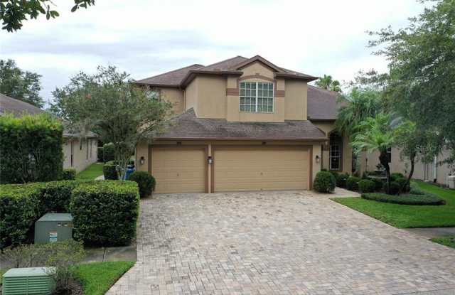 18722 CHOPIN DRIVE - 18722 Chopin Drive, Cheval, FL 33558