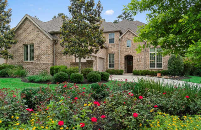 231 Greylake Place - 231 Greylake Place, The Woodlands, TX 77354