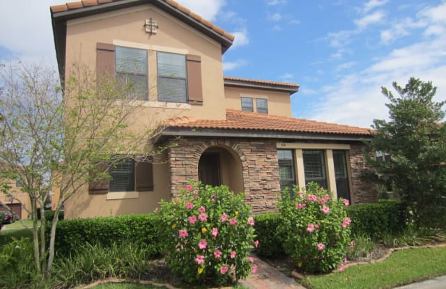 314 Pennyroyal Ln - 314 Pennyroyal Lane, Ocoee, FL 34761