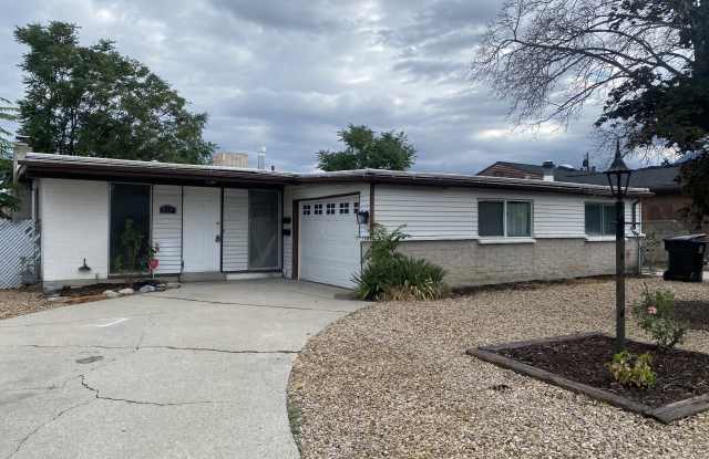 819 E Hibuscus photos photos 819 E Hibuscus photos photos