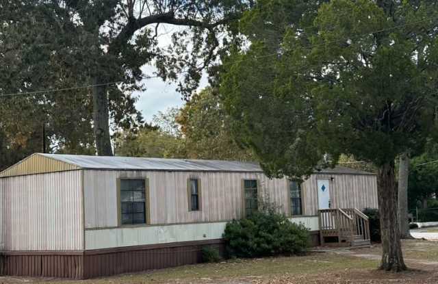 4428 Dorsey Drive Lot 1 - 4428 Dorsey Drive, Cherryvale, SC 29154