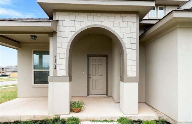 8164  Daisy Cutter XING - 8164 Daisy Cutter Crossing, Georgetown, TX 78626