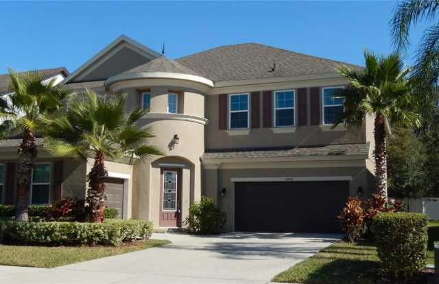 11006 CHARMWOOD DRIVE - 11006 Charmwood Drive, Riverview, FL 33569