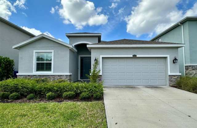 8316 PRAISE DRIVE - 8316 Praise Drive, Citrus Park, FL 33625